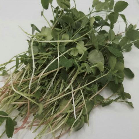 Crunchy Lentil Mix Subscription