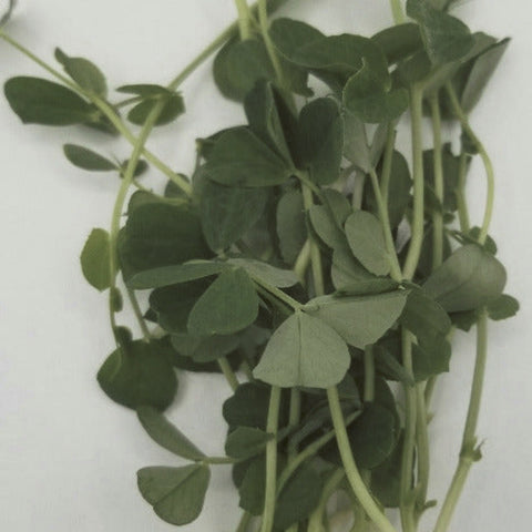 Pea Shoot Subscription
